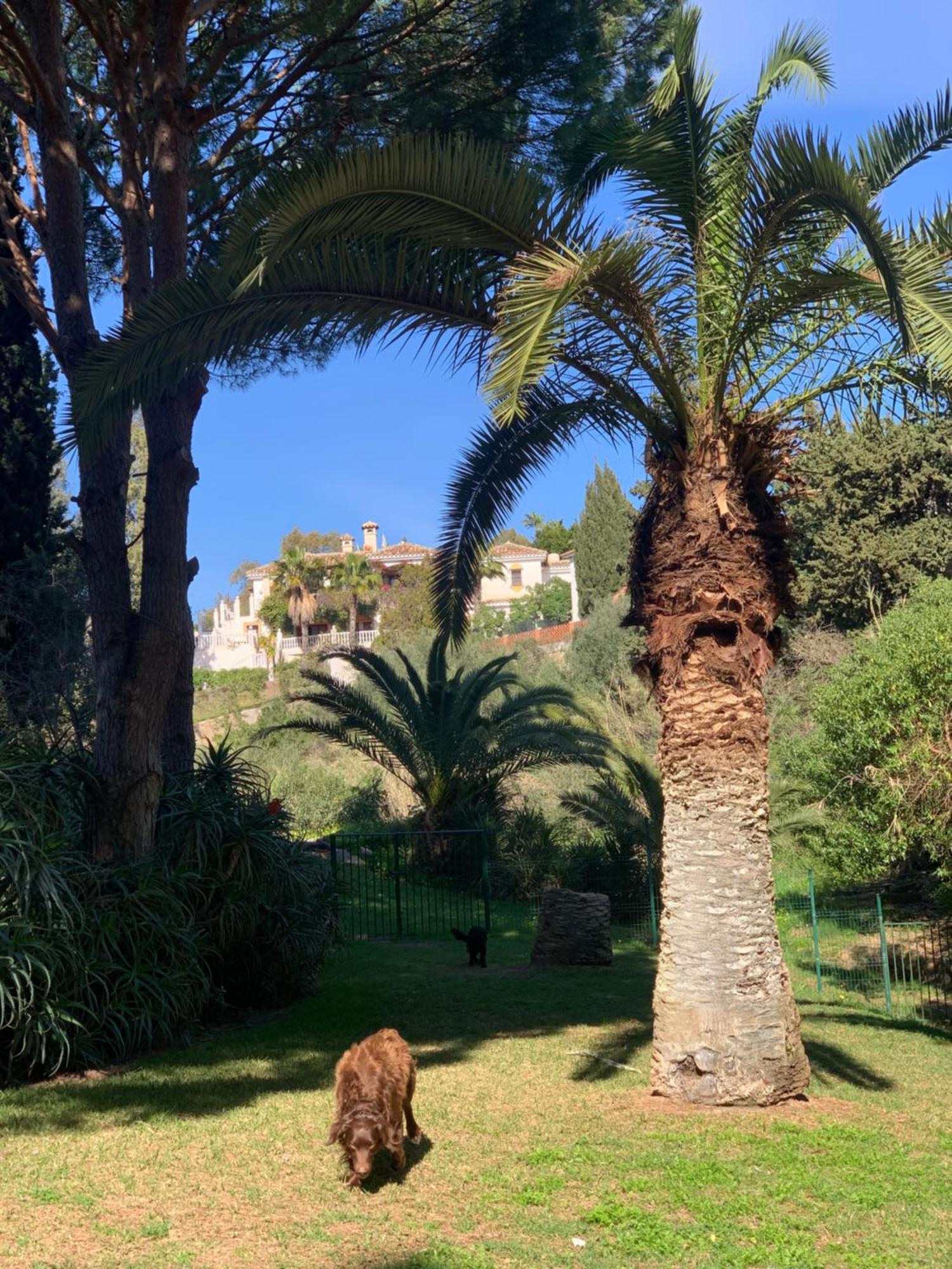 Casa Hermosa Mijas Εξωτερικό φωτογραφία