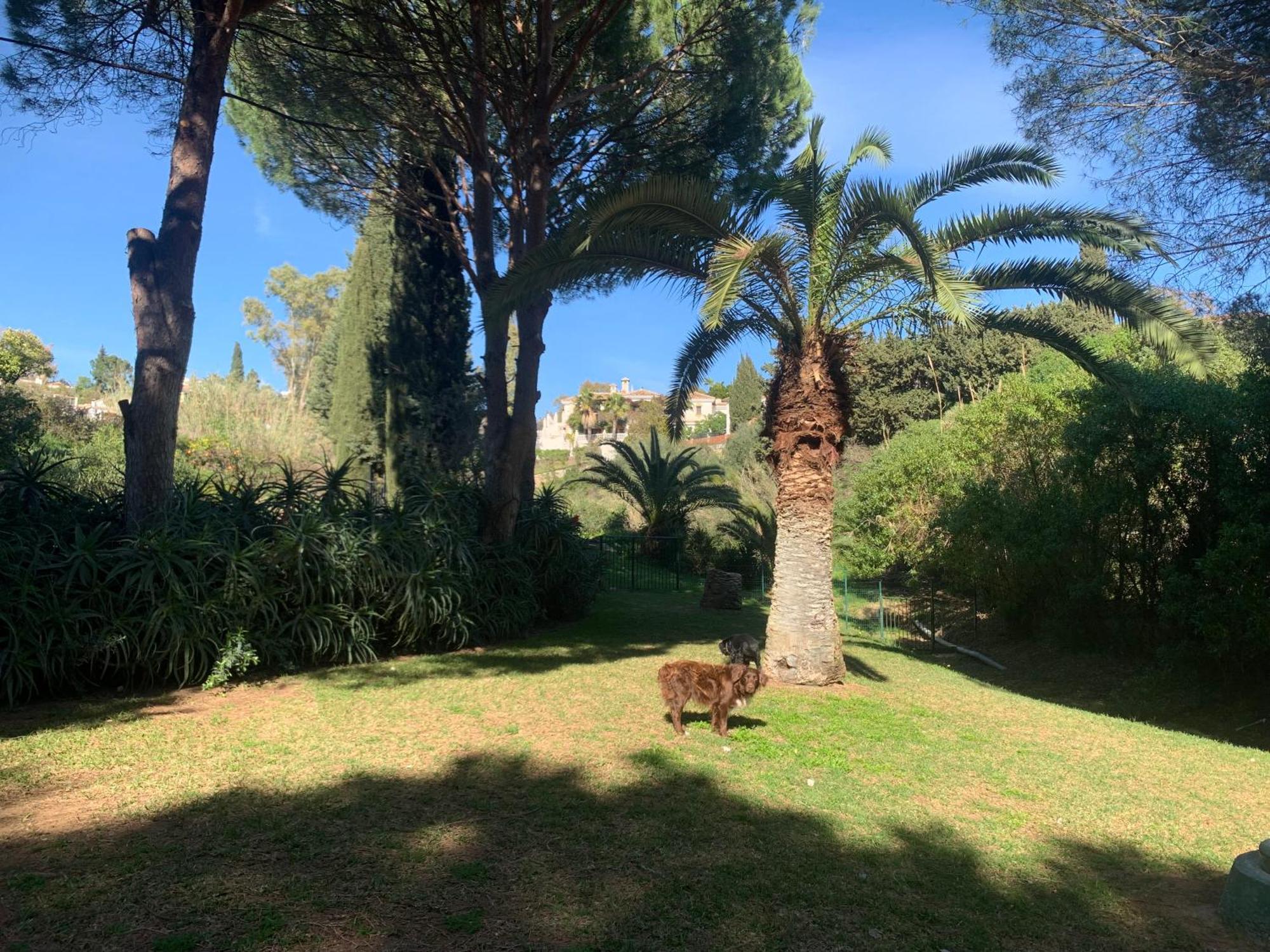 Casa Hermosa Mijas Εξωτερικό φωτογραφία