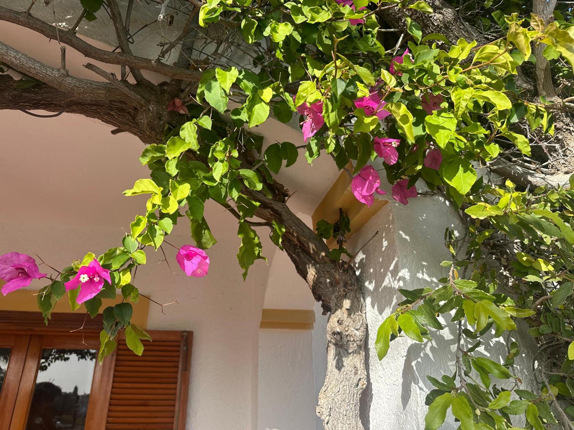 Casa Hermosa Mijas Εξωτερικό φωτογραφία